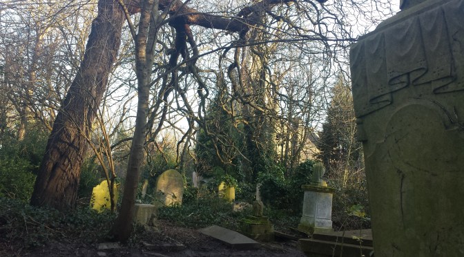 Independent audio walks: You can take these walks anytime you like!