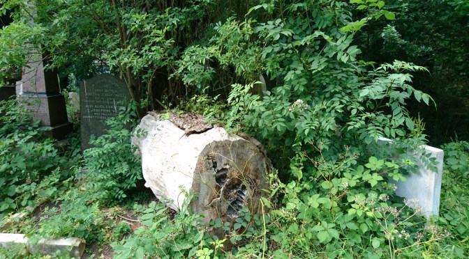 Audio Walk: Abney Rambles – Woodland Networks